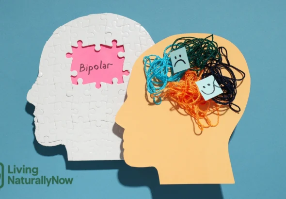 Gangguan Bipolar