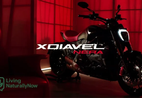 XDiavel Nera