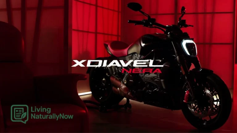 XDiavel Nera